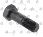 BOLTS - Image 2